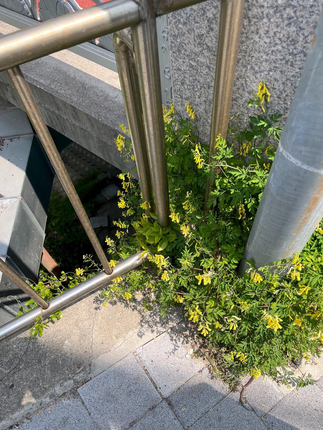 개인결제창 260209 상품이미지1