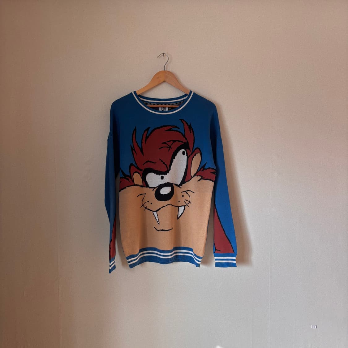 WB 루니툰 M 100 니트 워너브라더스 포에버21  상품이미지4