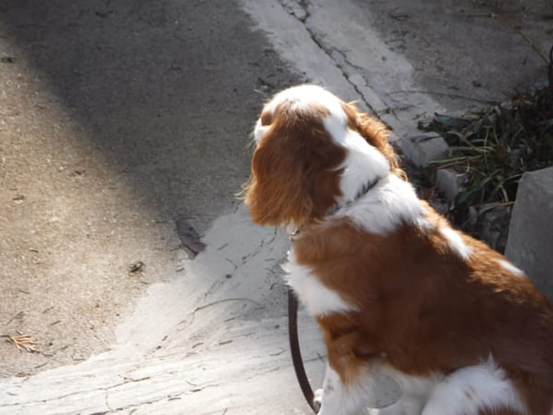 ​📷 🐳🫧 청량함 가득 🫧🐳 후지필름 FinePix XP80 상품이미지9