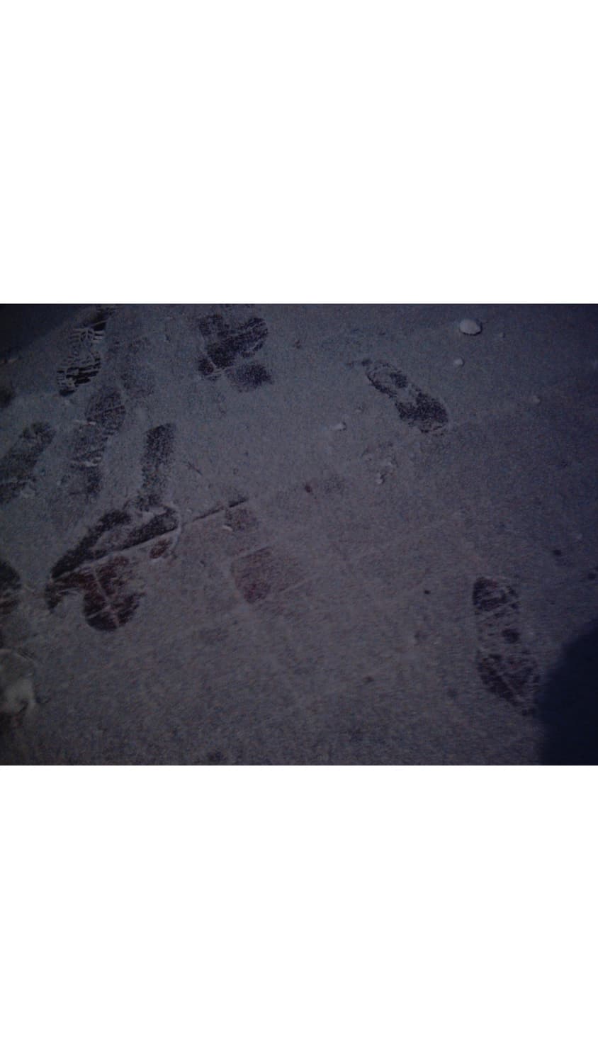 PDC3070/메뉴버튼안됨/그러나사진은잘찍힘/작례포함/필카같은카메라/레어 상품이미지9