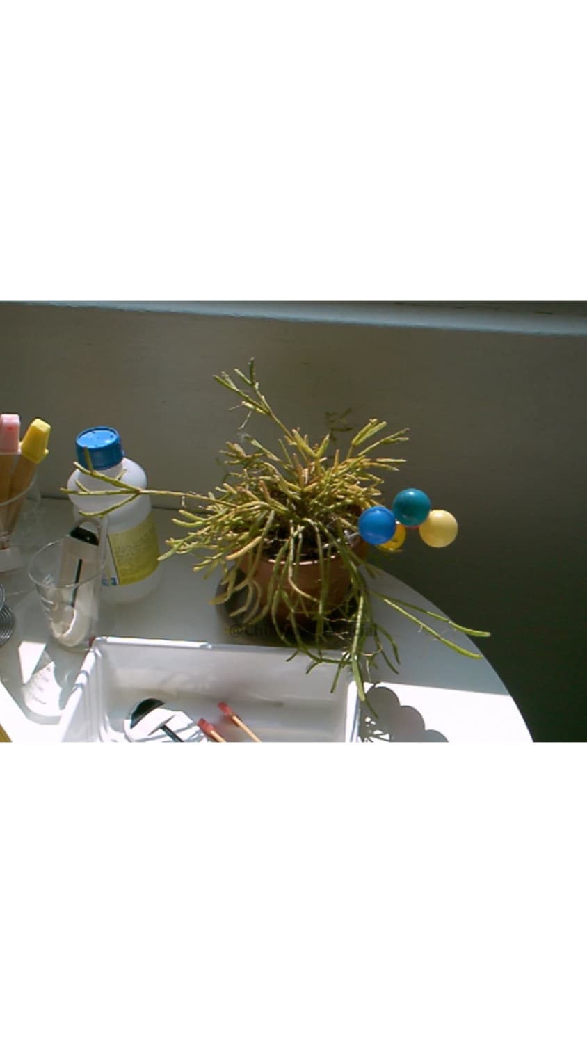 Toshiba PDR-M4 상품이미지4