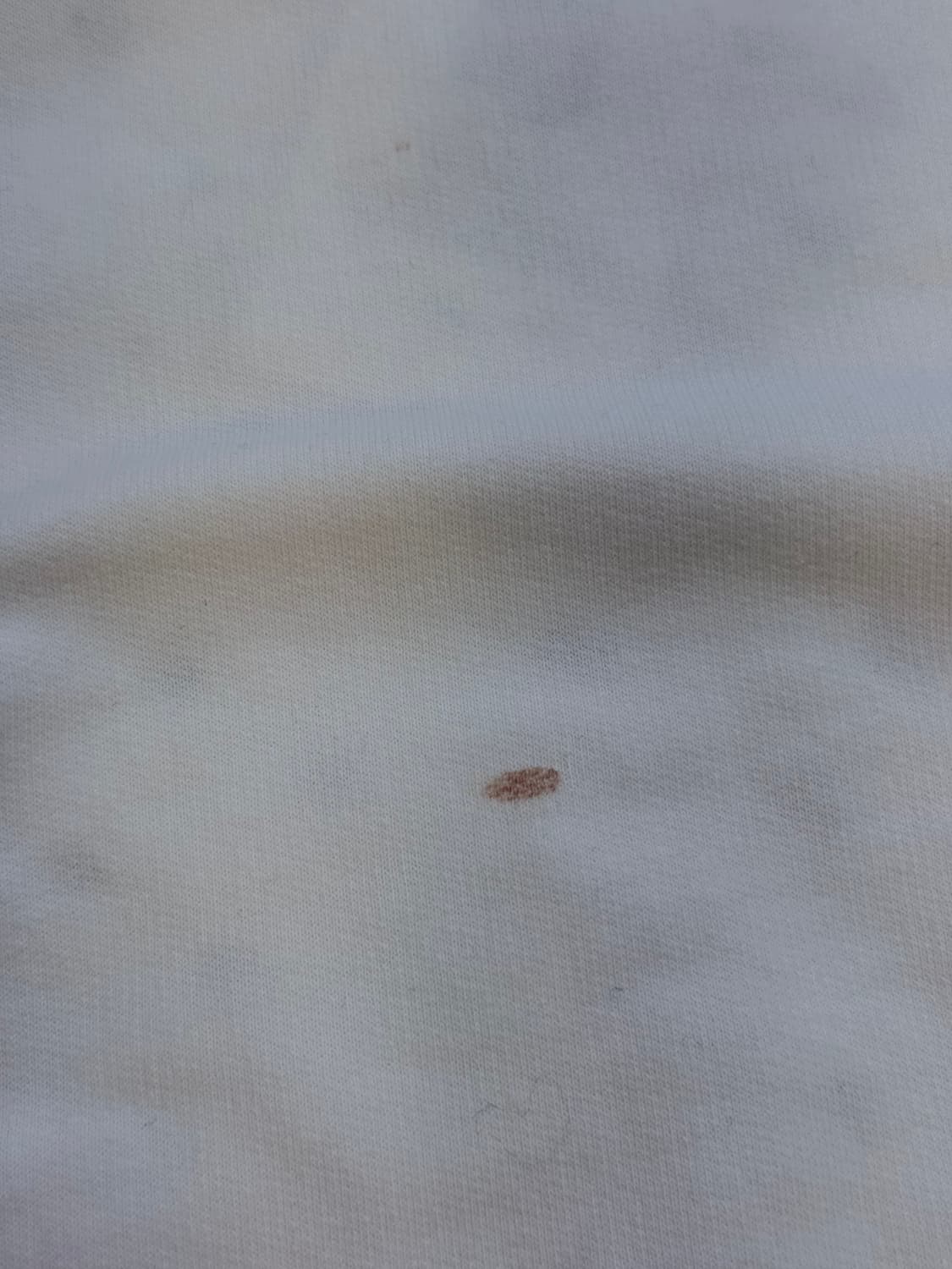 비비안웨스트우드 앵글로매니아 오브 자수 스웻셔츠 상품이미지3
