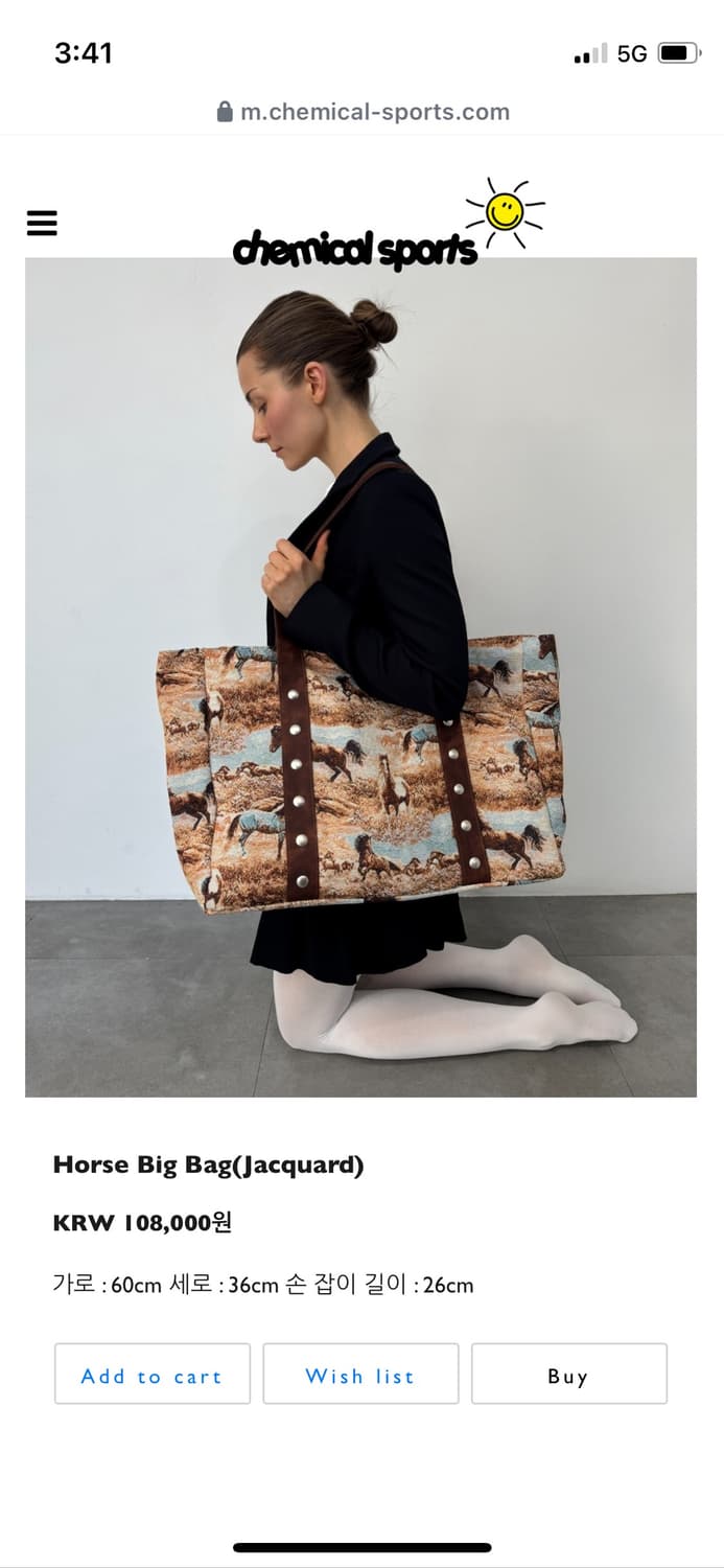 케미컬스포츠 홀스 빅백 상품이미지3