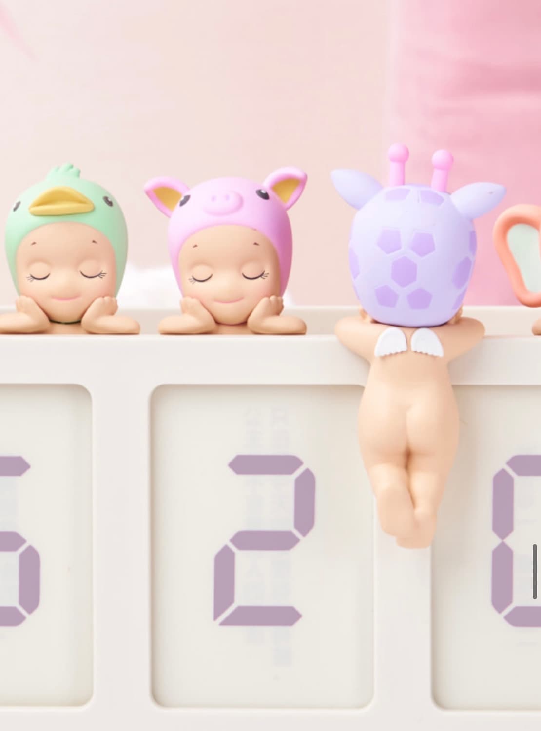 소니엔젤 드리밍 히퍼 돼지 상품이미지3