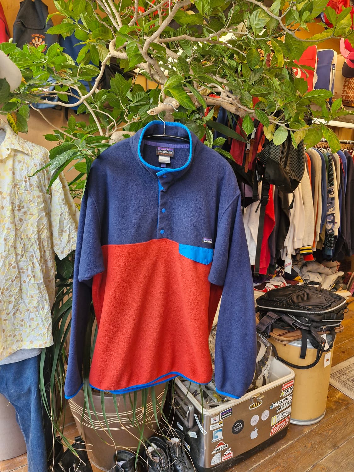 Z-313 파타고니아 신칠라  상품이미지3