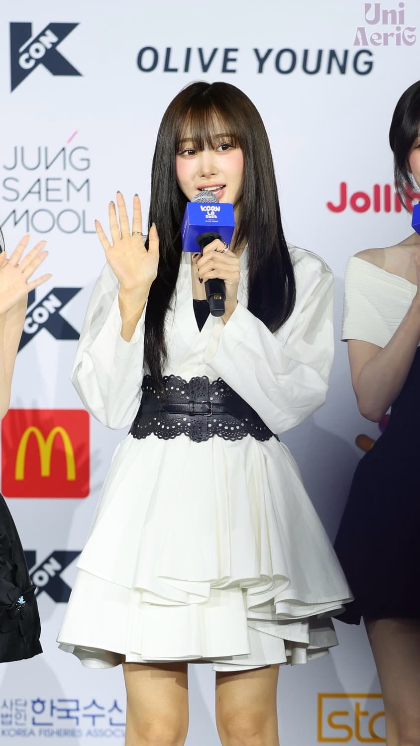 Alaia 알라이아 코르셋 벨트 상품이미지4