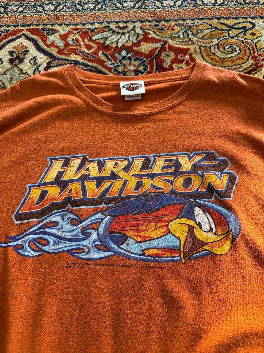 할리데이비슨 x 루니툰 '로드러너' 알래스카 케치칸 - 3XL 상품이미지1