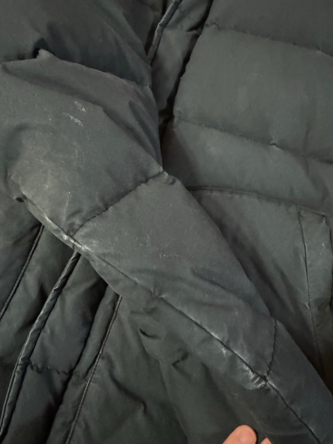커버낫 패딩 상품이미지4