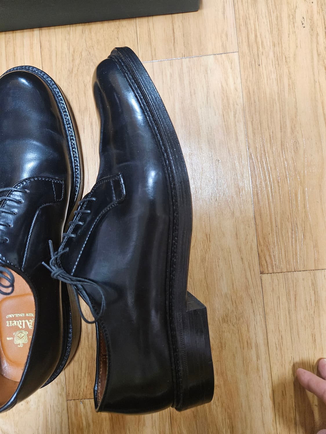 알든9901 us11.5d 상품이미지6