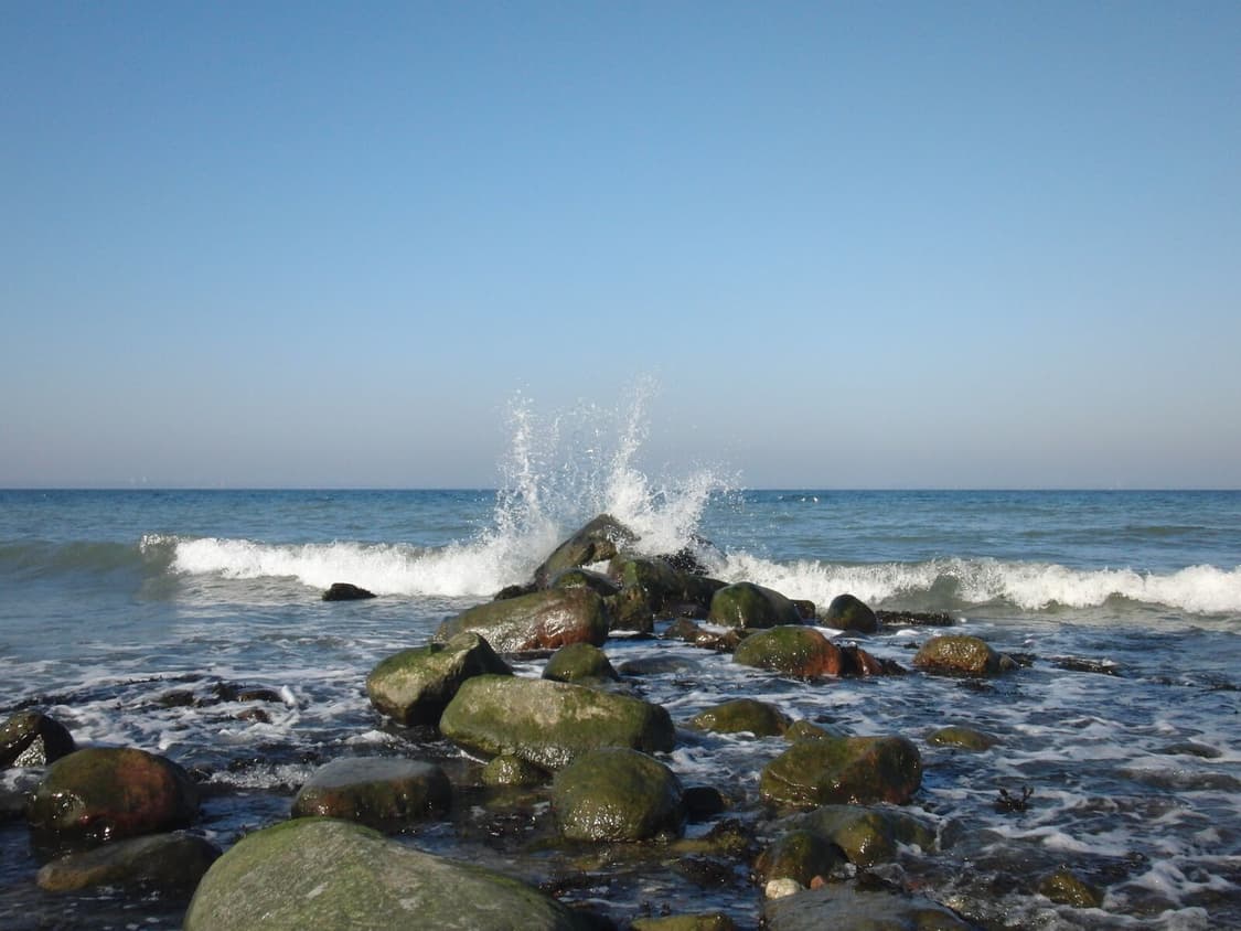 카시오 엑슬림 EX-FS10 상품이미지10