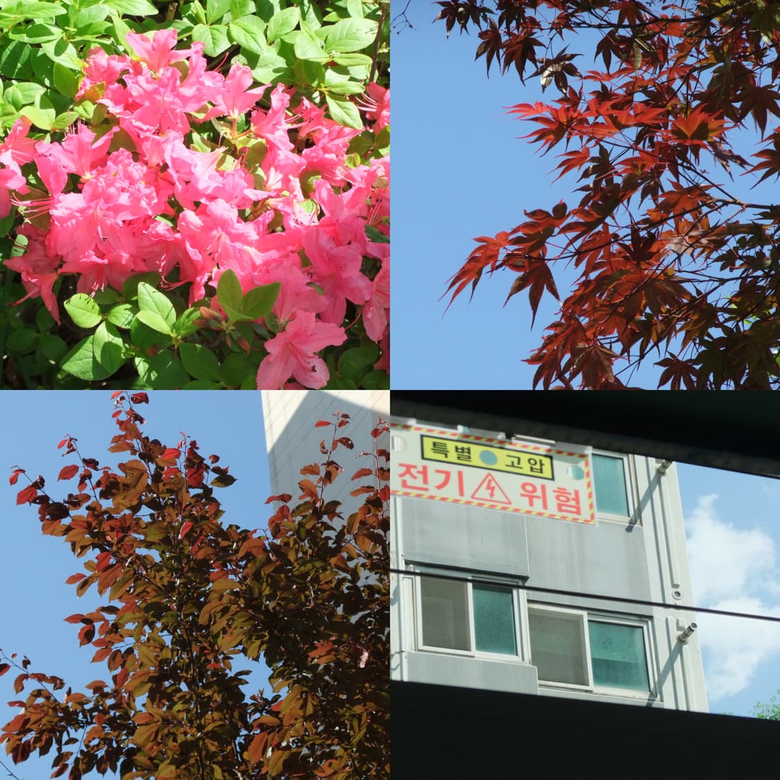 (작례O/상세사진 확인필수) 후지필름 파인픽스 f70 exr 판매해요 상품이미지7