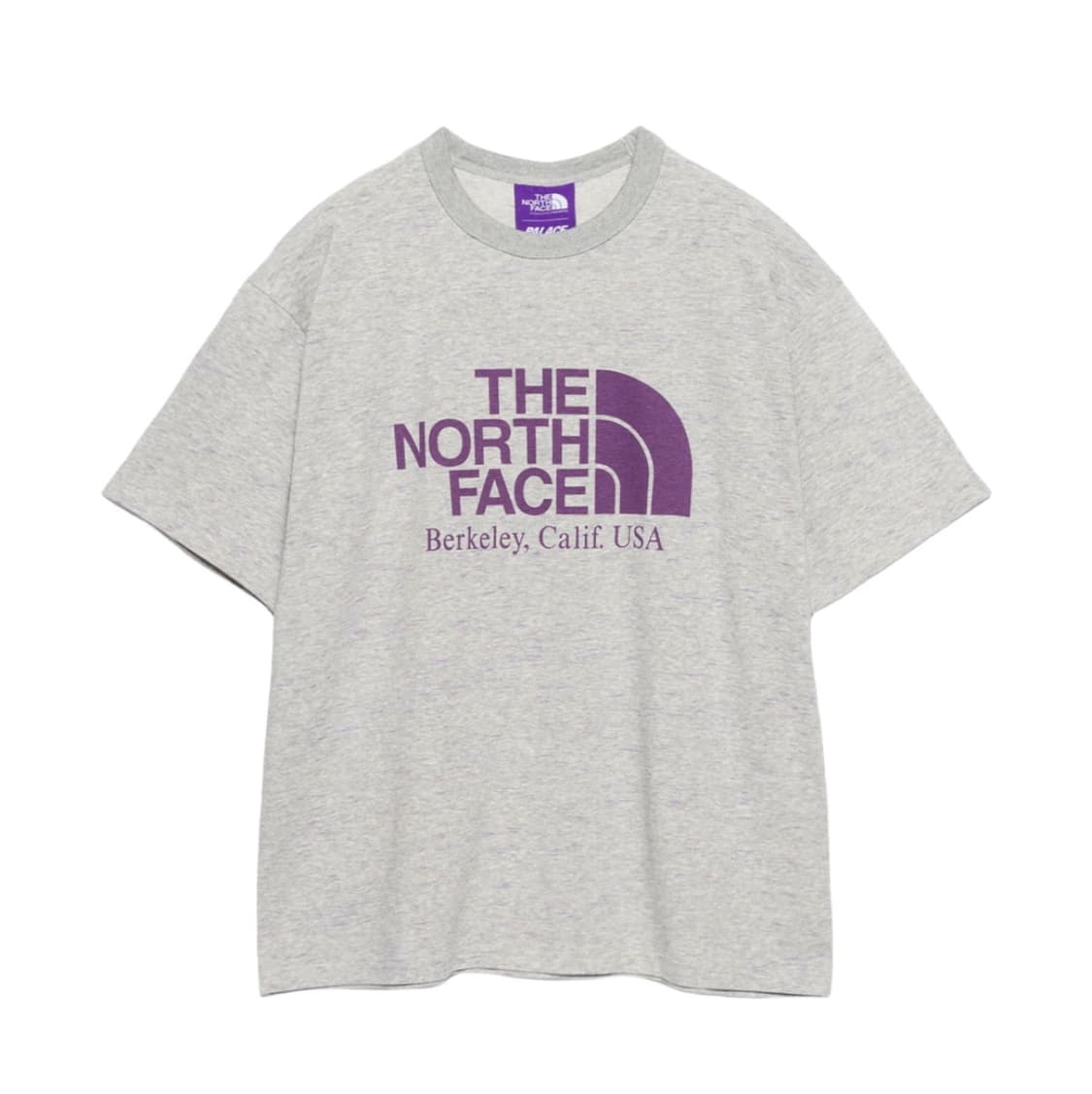 팔라스 x 노스페이스 퍼플라벨 필드 그래픽 티셔츠 믹스 그레이 - 25F 상품이미지1