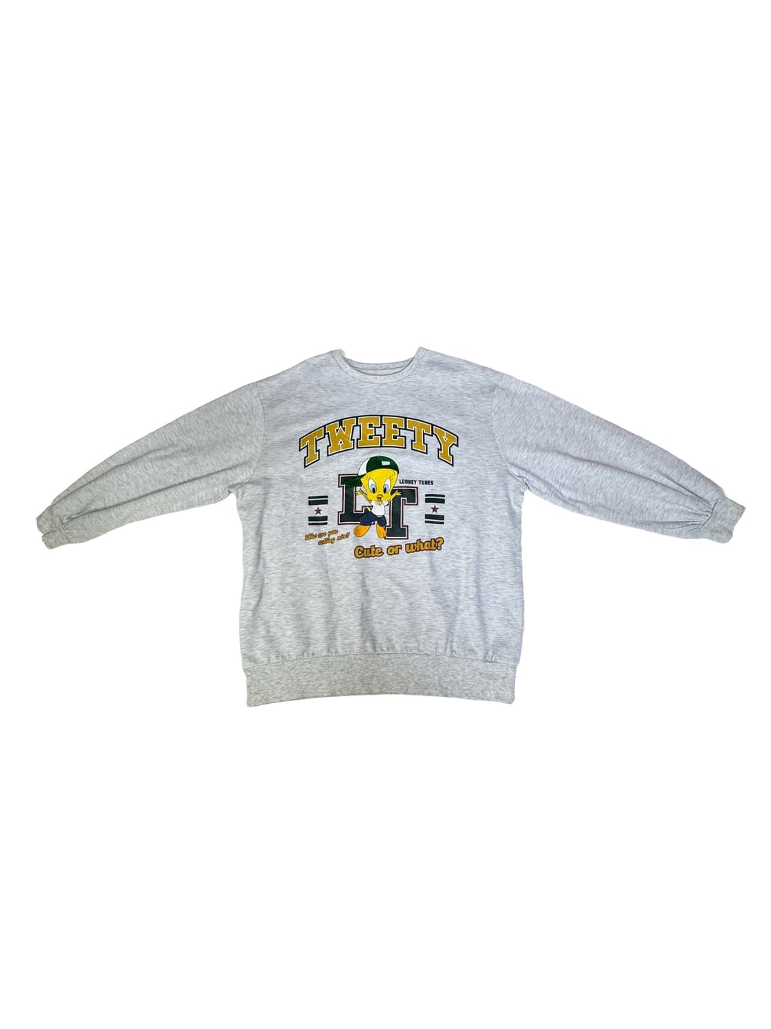루니툰 트위티 Tweety 자수 디테일 그래픽 맨투맨 L 상품이미지1