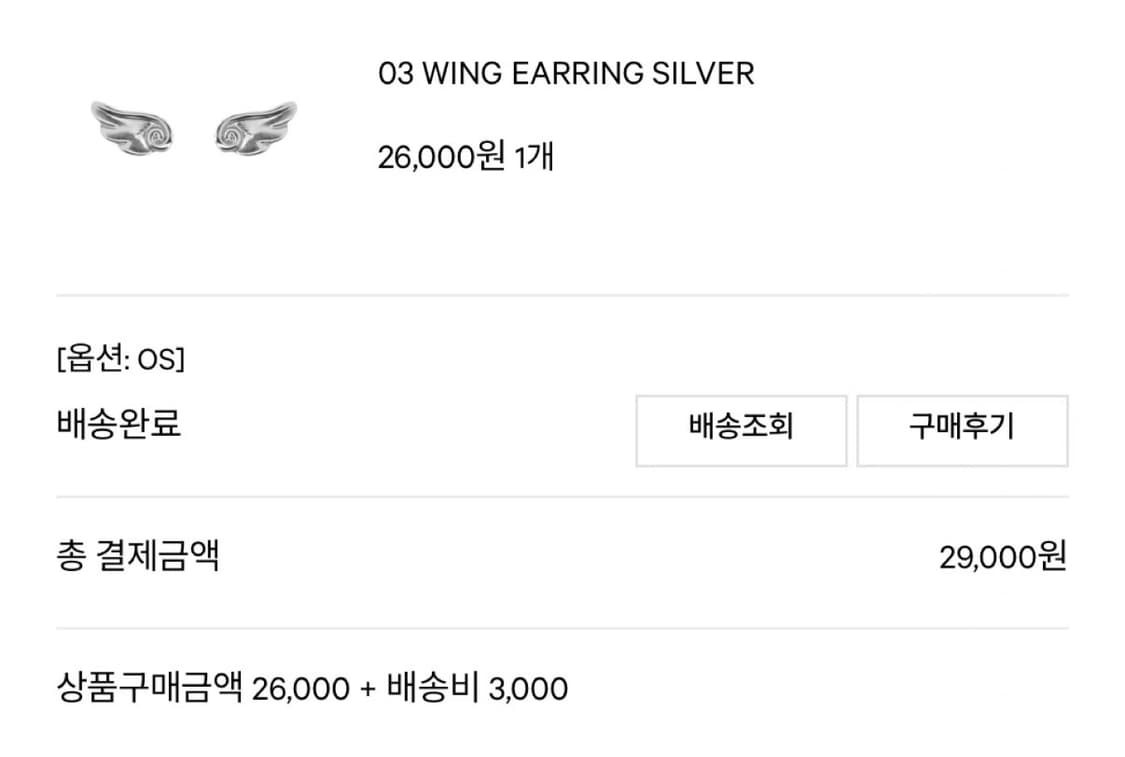 COYSEIO 코이세이오 윙 귀걸이 상품이미지2