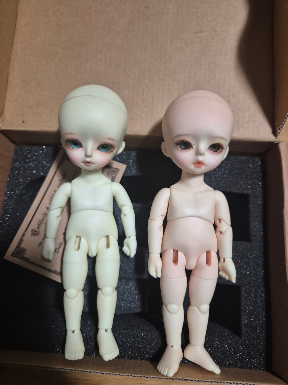 위드돌 포켓 BWD 사이즈 구체관절 구관 인형 상품이미지4