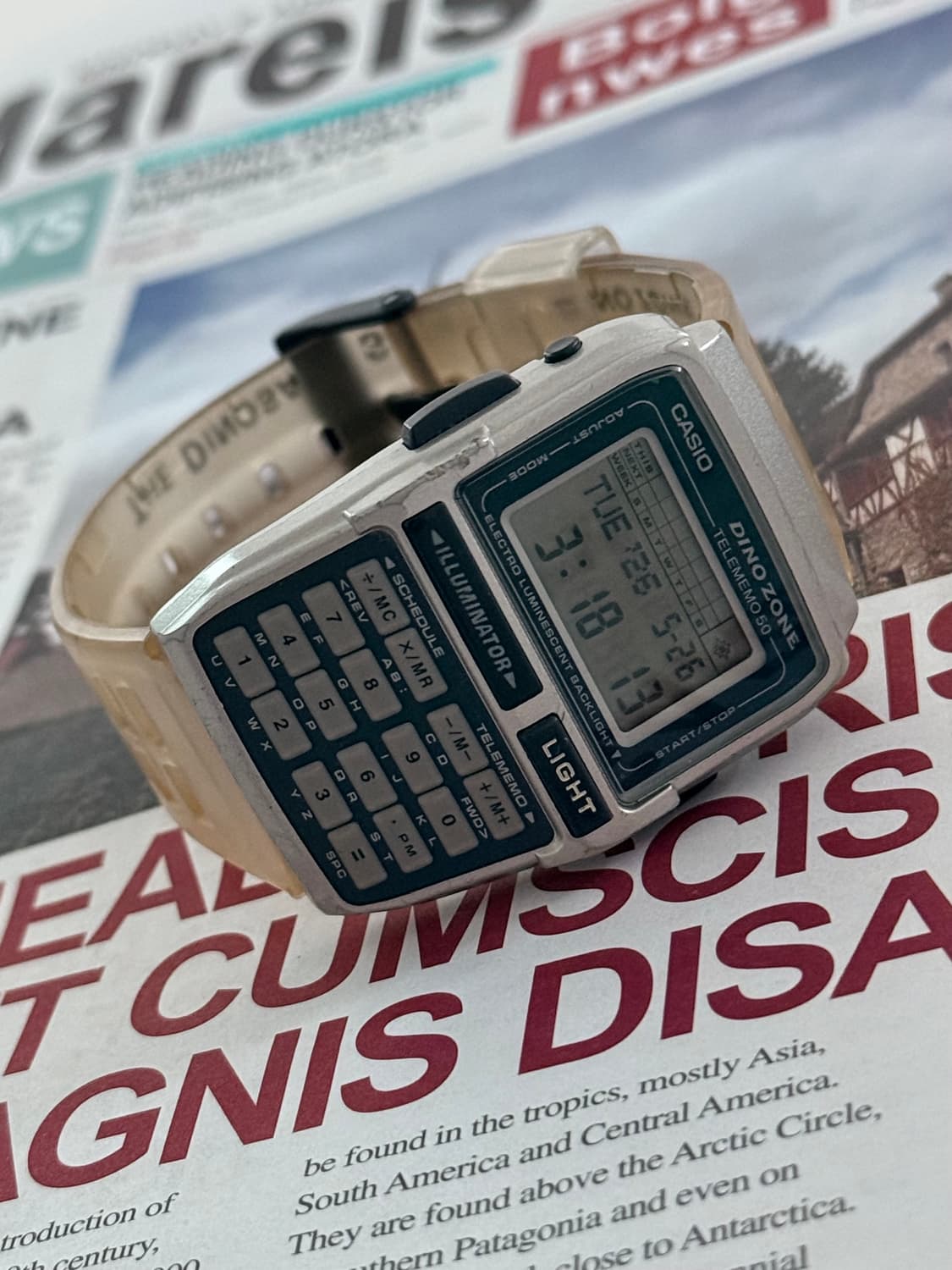 Casio 카시오 DBC-63 다이노 스켈레톤 한정판 Date Bank 상품이미지4
