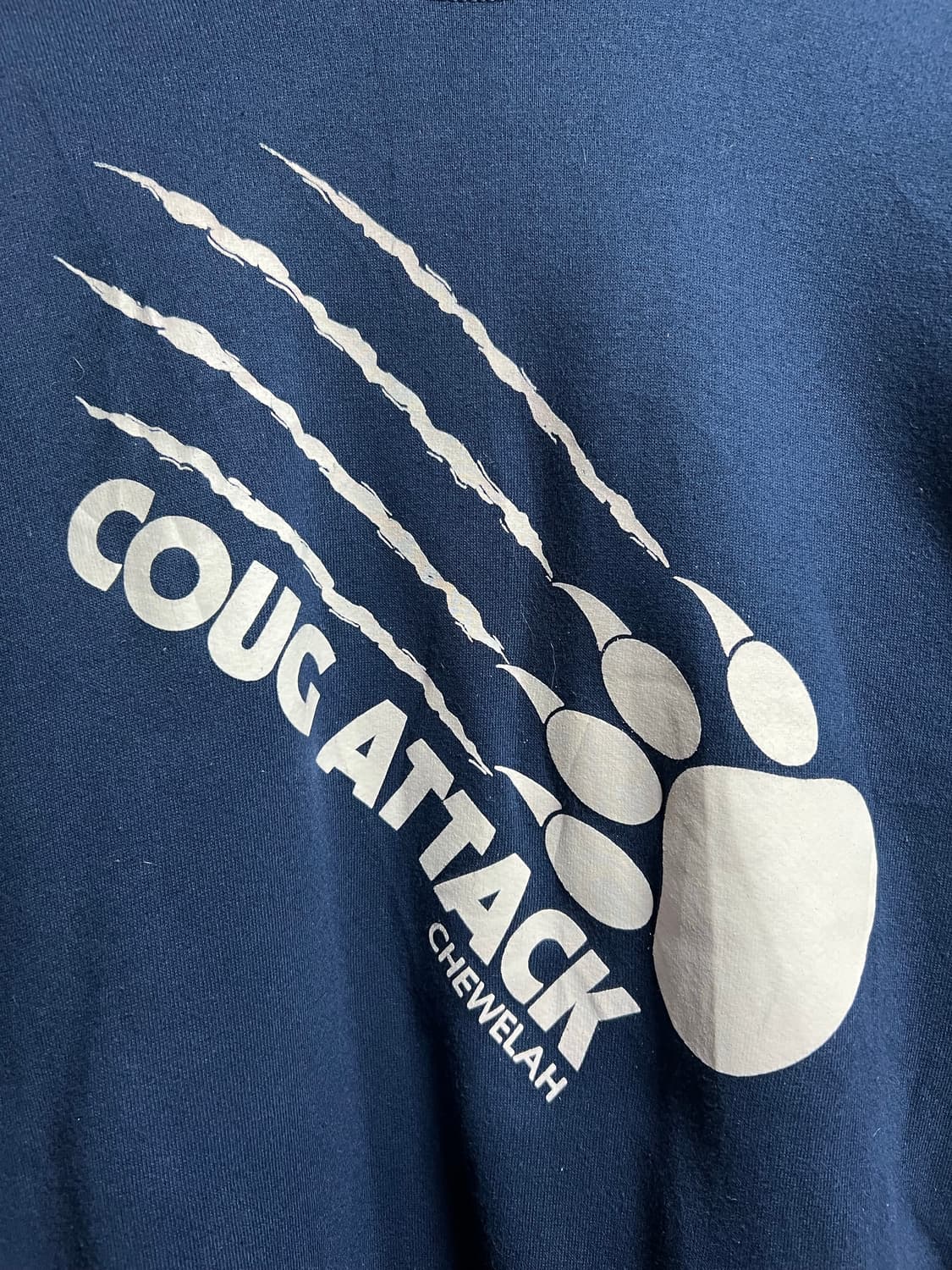 빈티지 프룻오브더룸 프린팅 맨투맨 상품이미지2