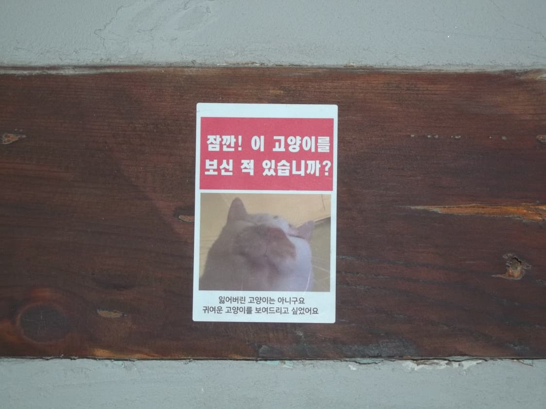 코닥 이지쉐어 c1530 kodak easyshare (작례o) 상품이미지6