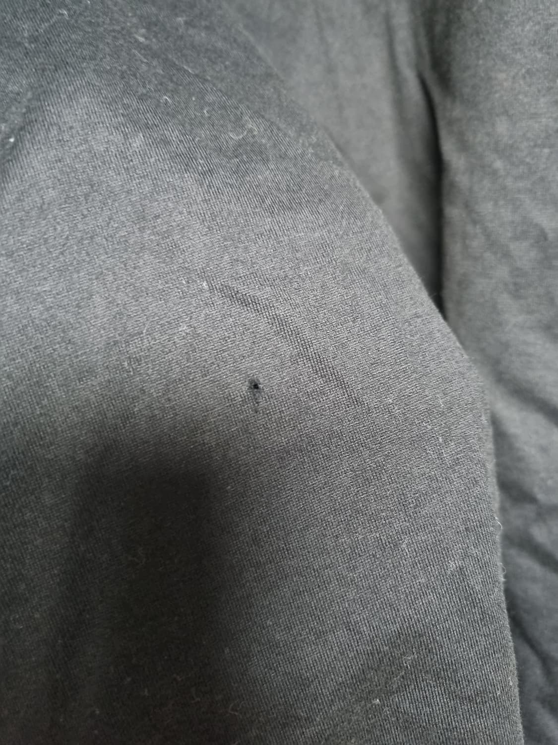 [48] 우영미 백로고 반팔 블랙 상품이미지5