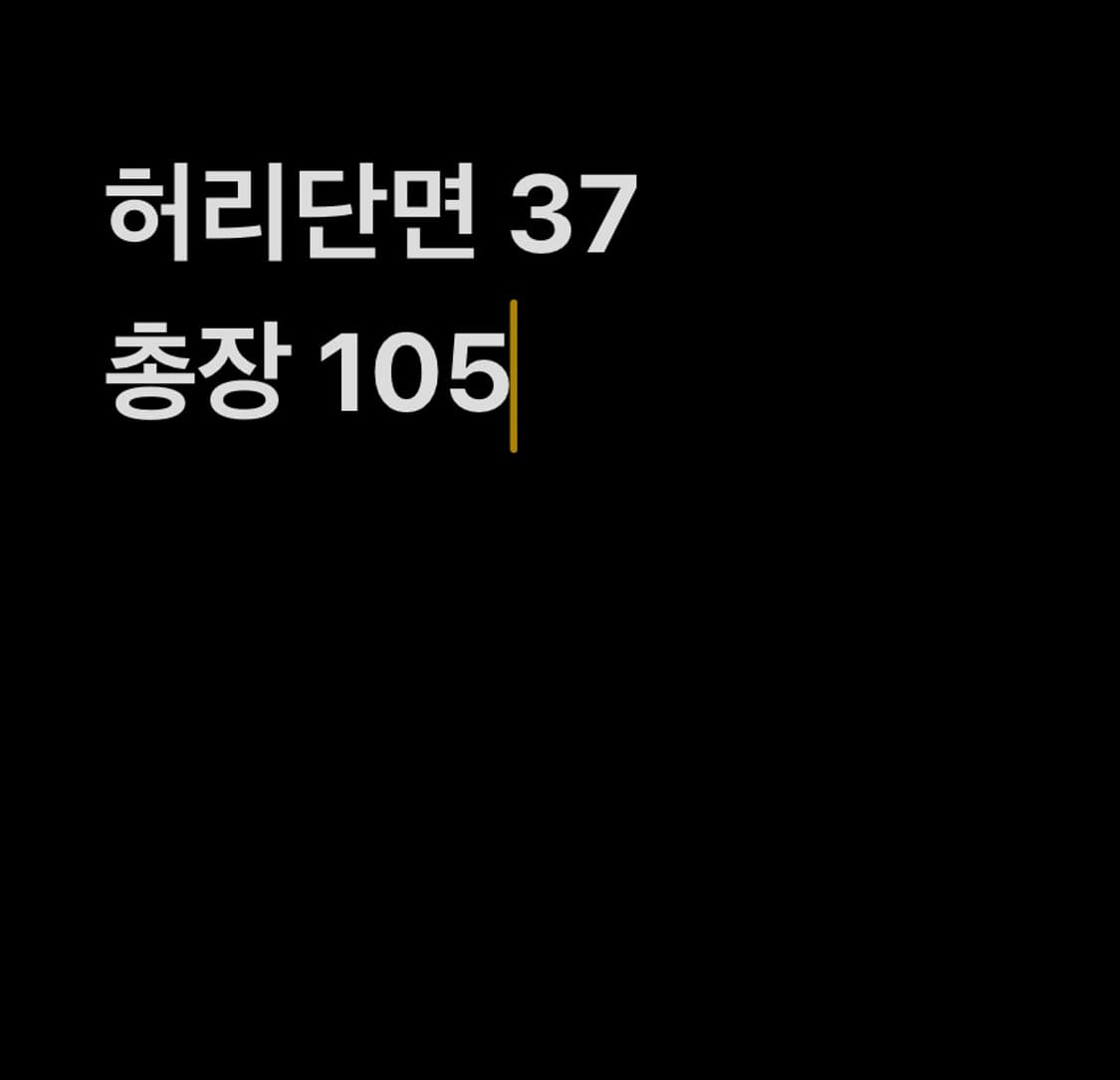 빈티지 와이드 카고 팬츠 상품이미지9