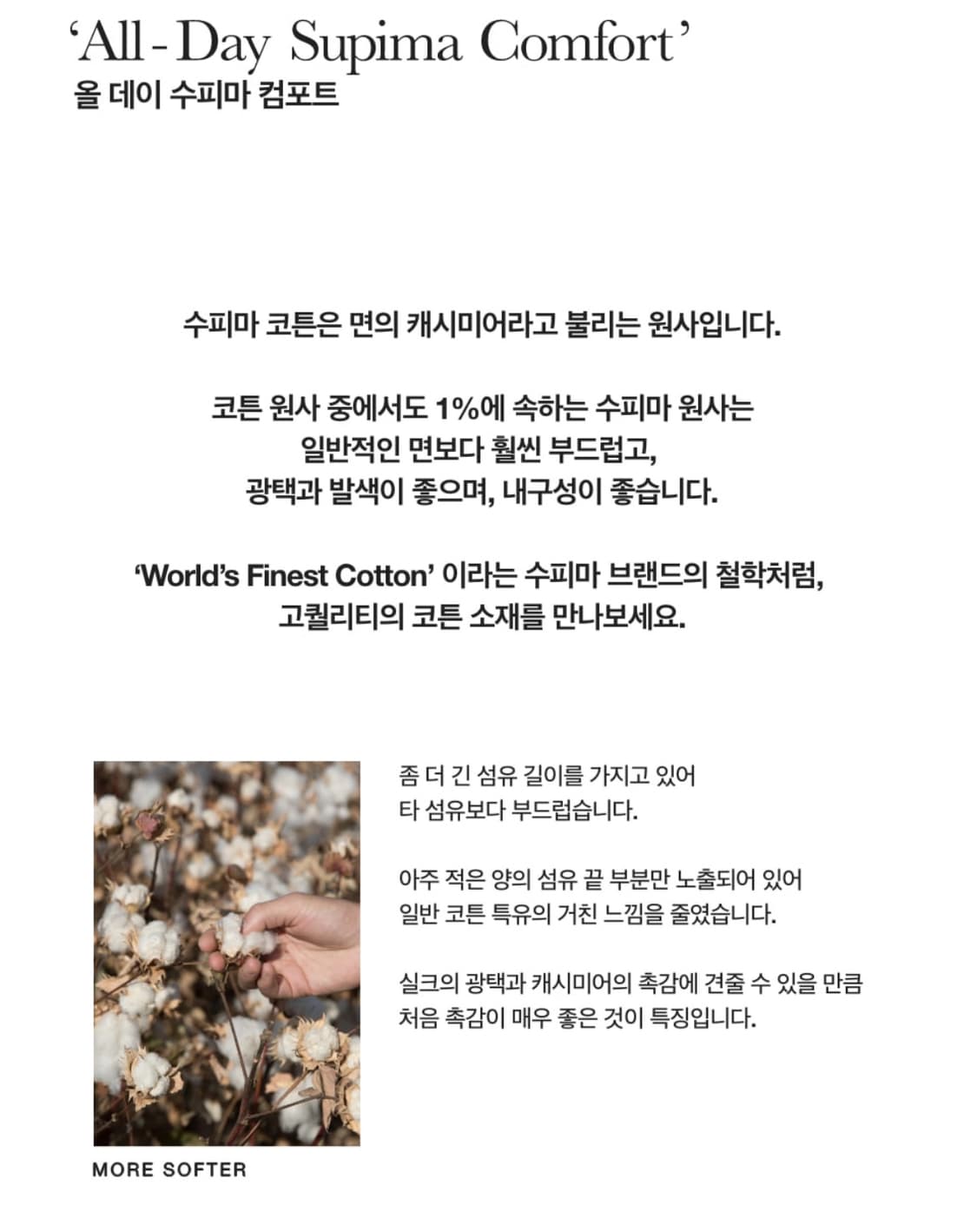 세터 반팔 티셔츠 올 데이 수피마 컴포트 블랙 XL  상품이미지6