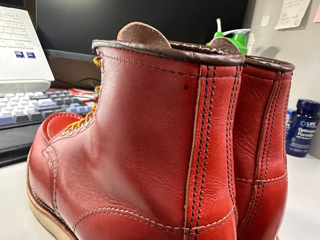 (260e) 레드윙 오로러셋 포티지 8875 상품이미지9