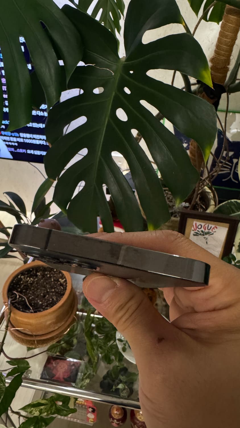 아이폰12프로 256 스페이스 그레이 상품이미지5