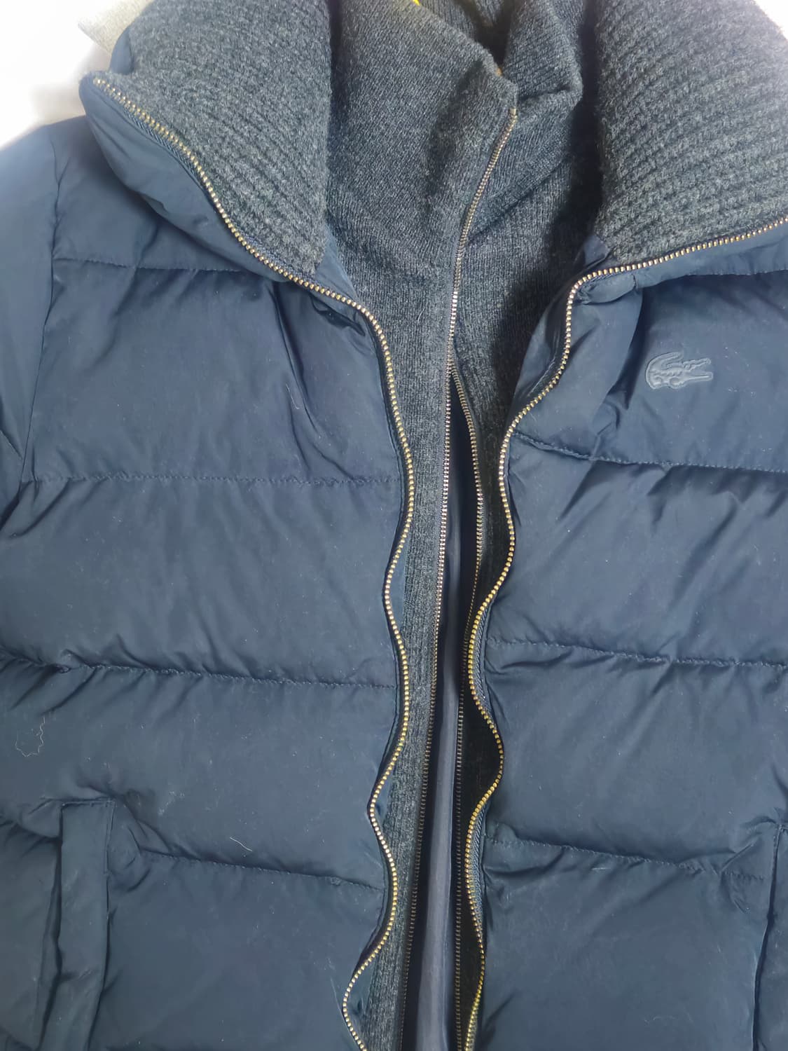 라코스테 여성 니트카라 패딩 점퍼 네이비 34 상품이미지5