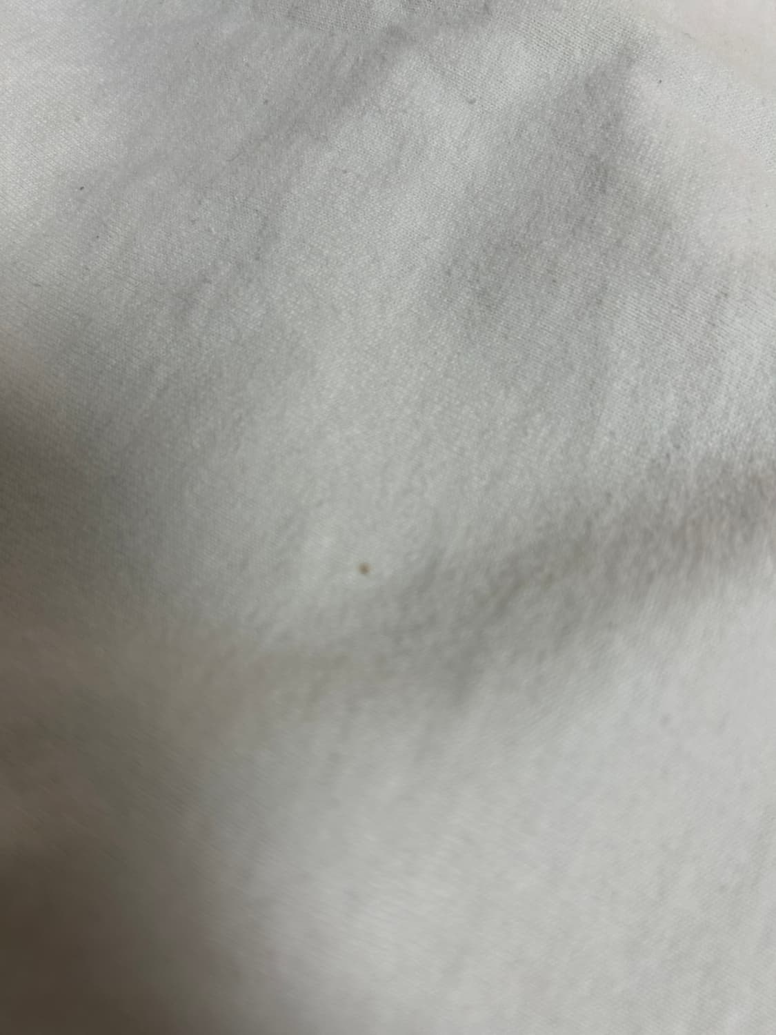 베이프 컬리지 티셔츠 화이트(정품) size(M) 상품이미지7