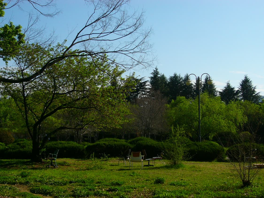 파나소닉 루믹스 DMC-F1 빈티지 디카(작례o) 상품이미지7