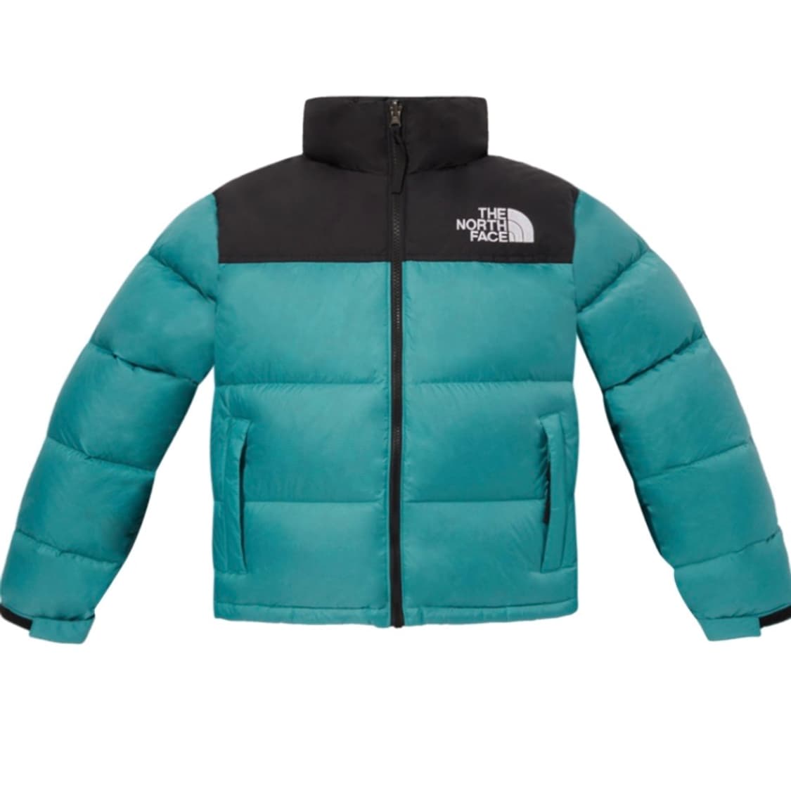 (W) 노스페이스 1996 레트로 눕시 패딩 민트 95 상품이미지1