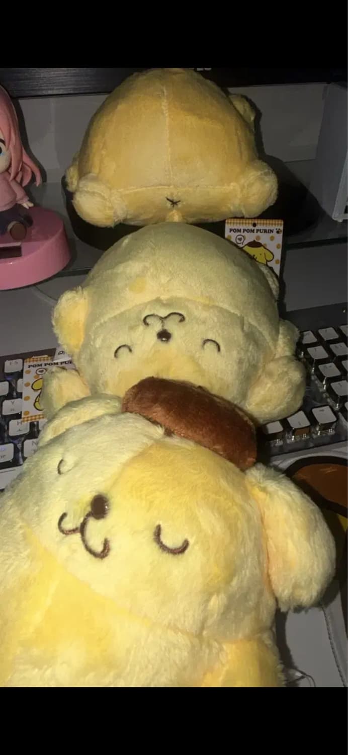 산리오 밥먹고 누워자는 폼폼푸린 복슬 돼지 푸딩 덩어리 복부비만 상품이미지2