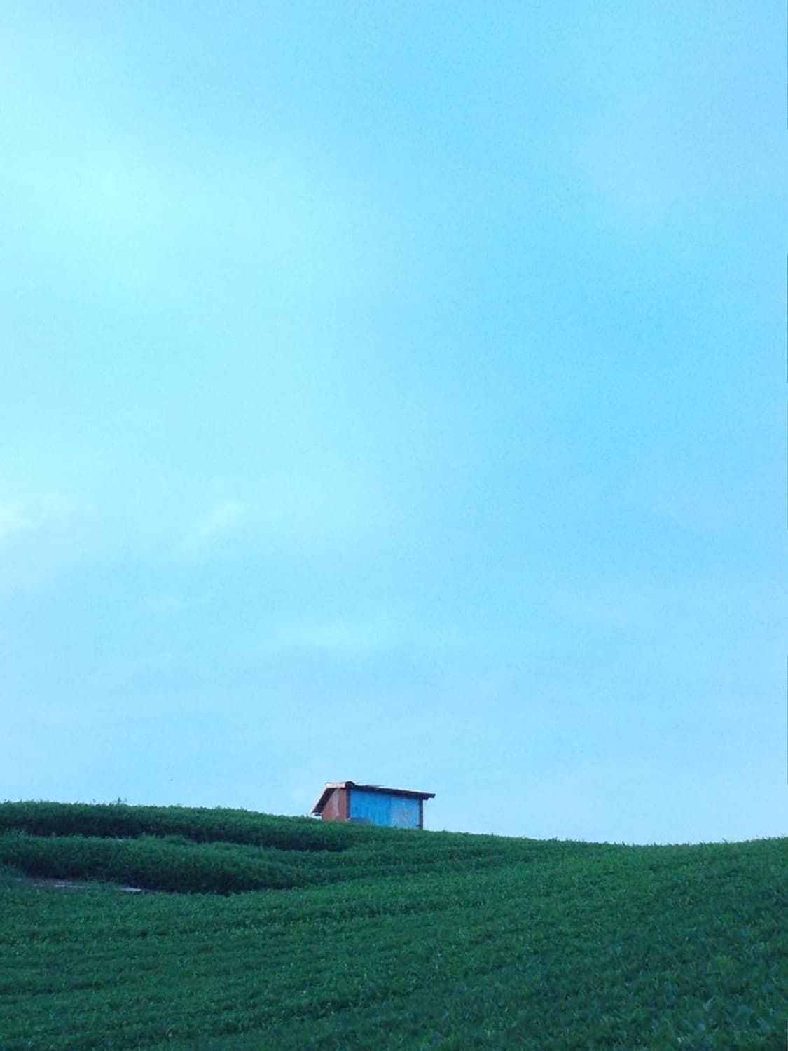 니콘 쿨픽스 Nikon COOLPIX S30 화이트 상품이미지4