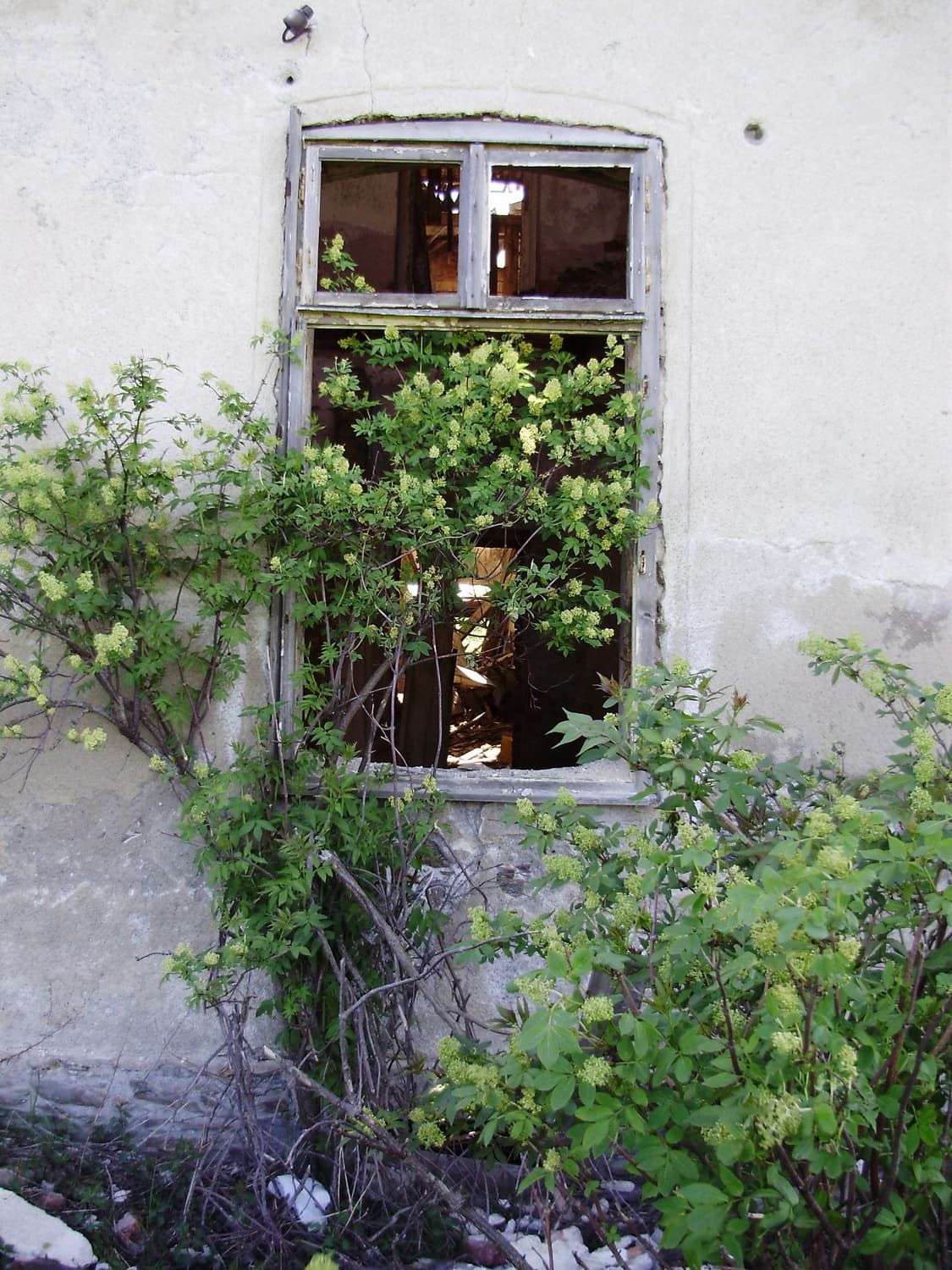 작례O 초소형 감성 올림푸스 fe-310 디지털카메라 빈티지 디카 상품이미지4