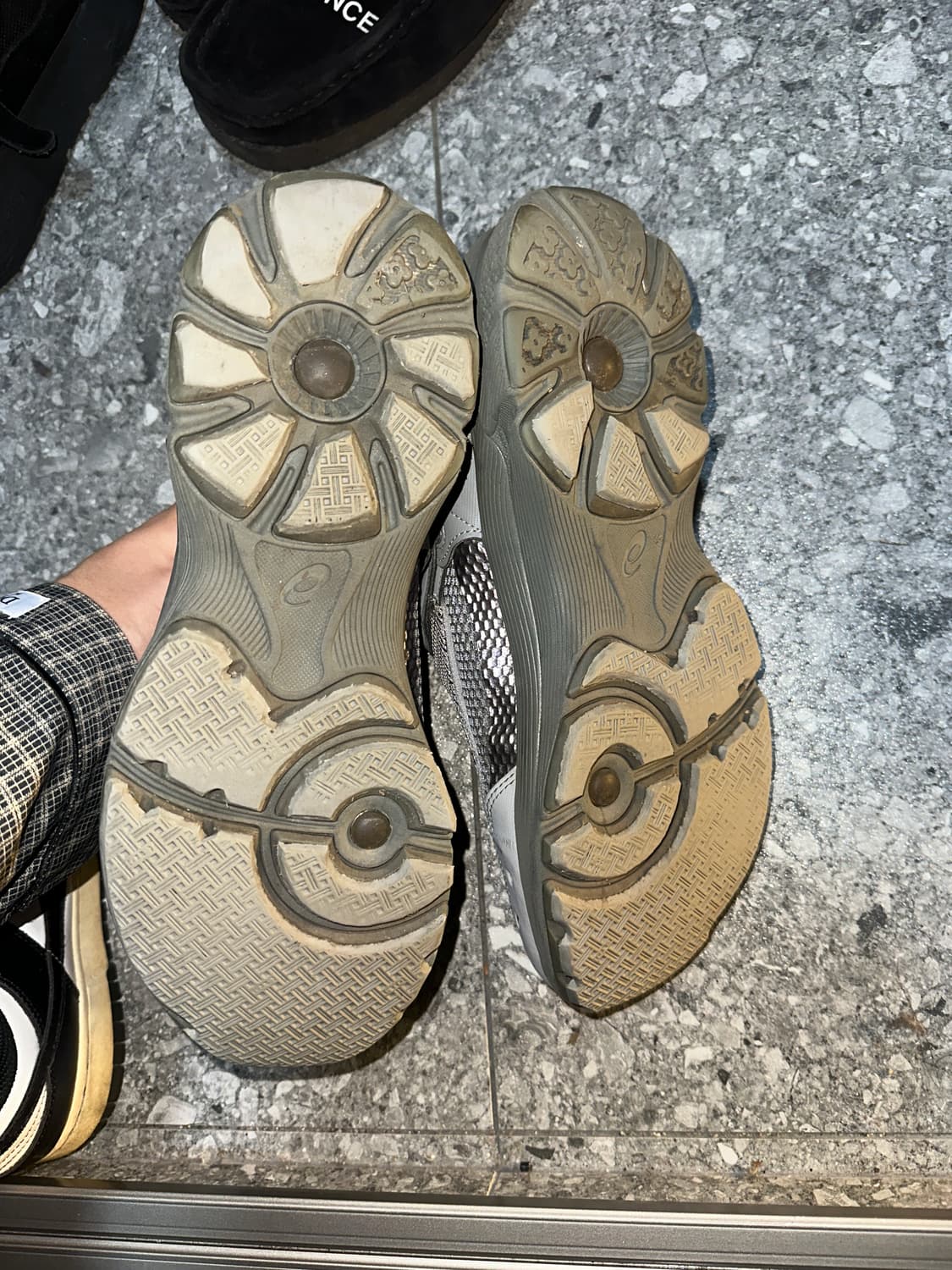 키코코스타디노브 젤키릴 라벤더 상품이미지5