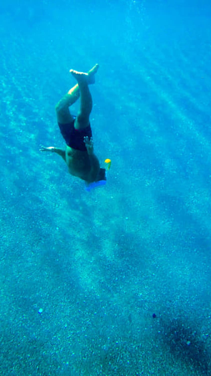 ​📷 🐳🫧 청량함 가득 🫧🐳 후지필름 FinePix XP80 상품이미지8