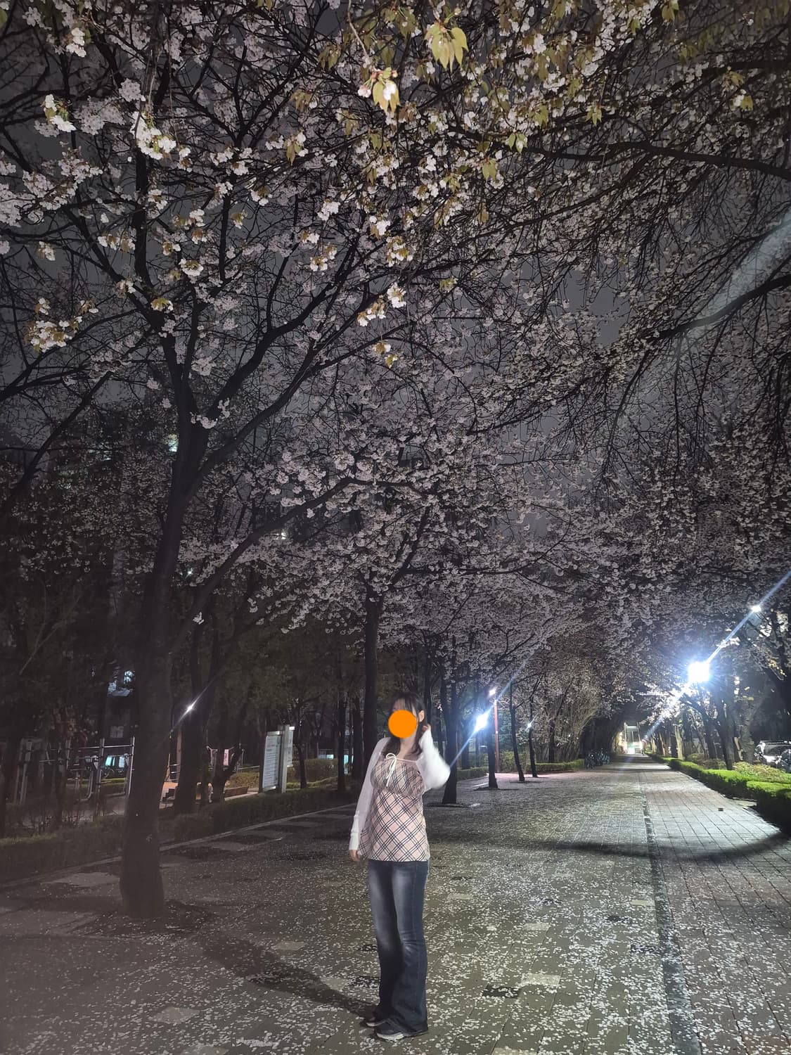 빈티지 버버리 블루라벨 38사이즈 노바체크 딸기우유 핑크 나시 슬리브리스 상품이미지5