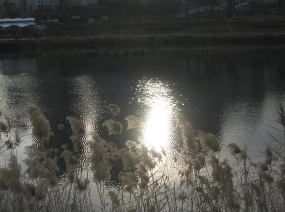 작례O) 캐논 파워샷S50 Canon PowerShotS50 상품이미지8