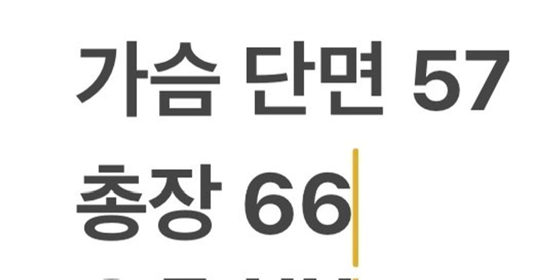 [정품/M] 노스페이스 빈티지600 필 스퀘어 퀼팅 구스다운 패딩 b16 상품이미지10