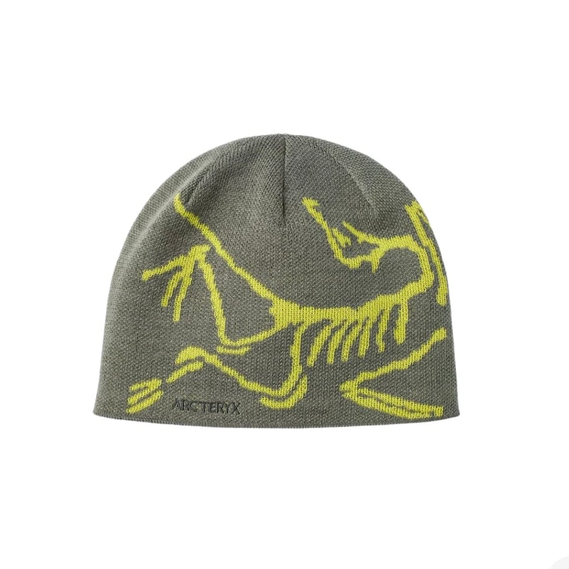 아크테릭스 비니 Bird Head Toque Forage 상품이미지1