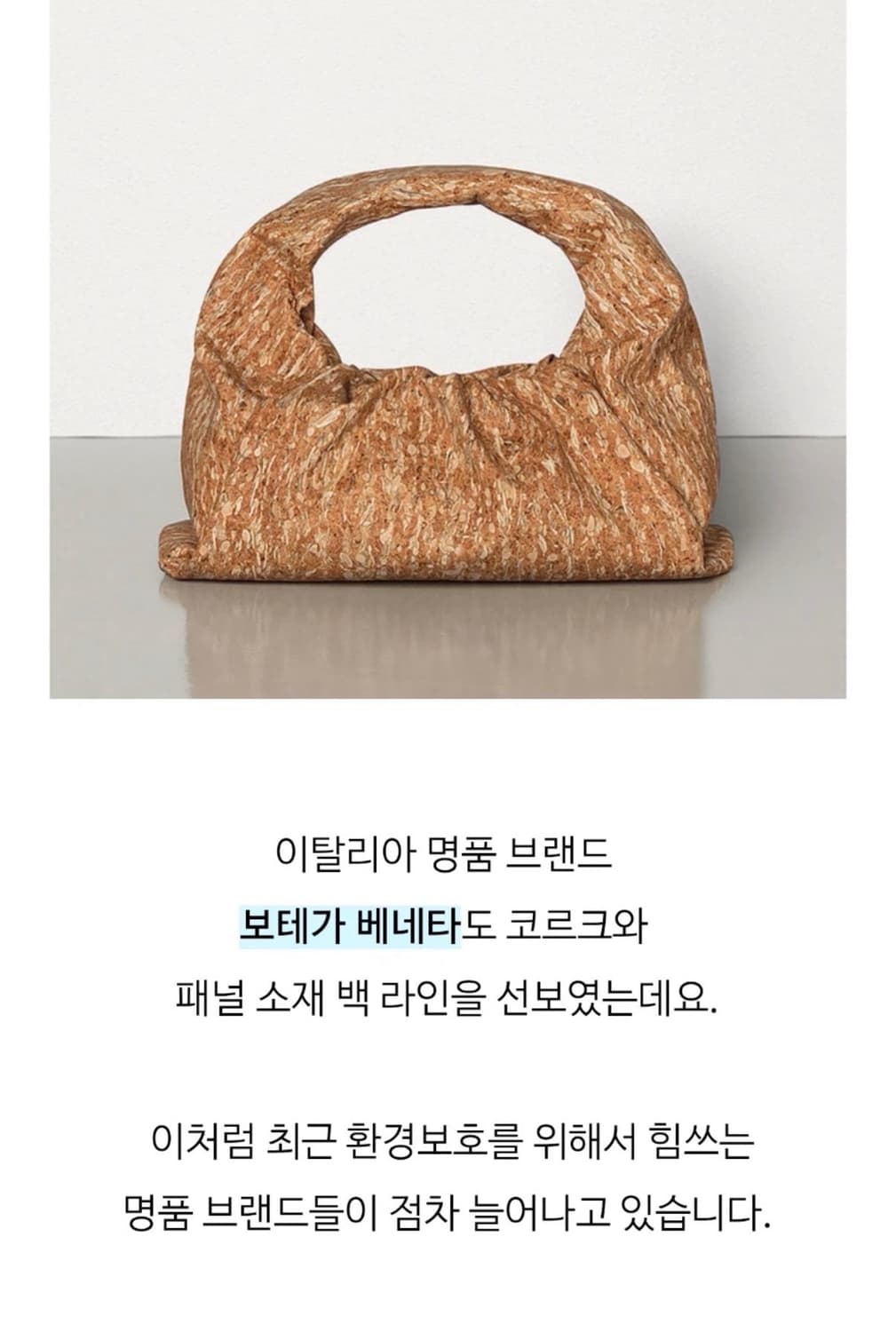 보테가 베네타(Bottega Veneta)의 더 숄더 파우치 코르크 백 상품이미지10