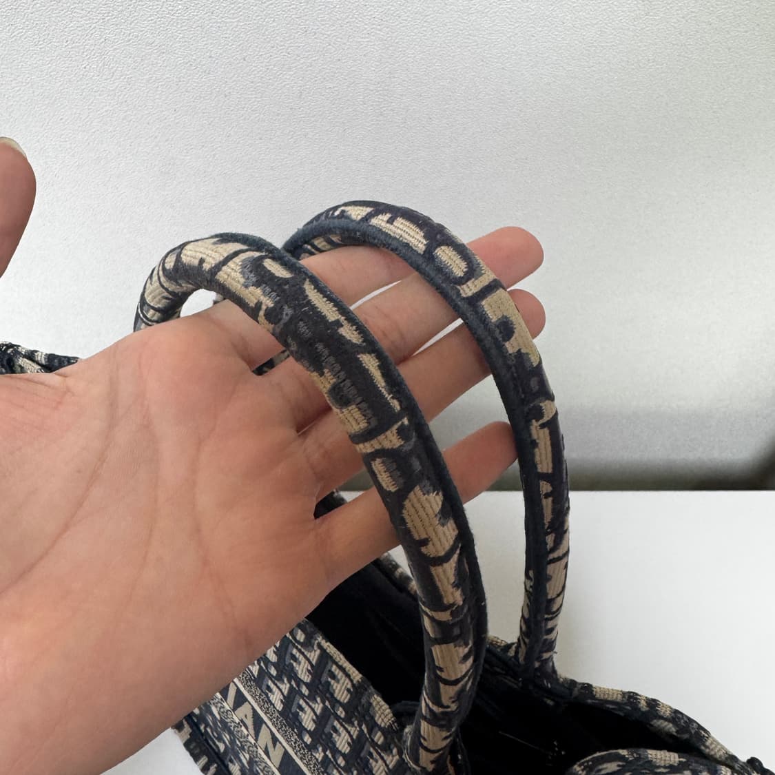 디올 오블리크 북토트백 미듐 상품이미지5