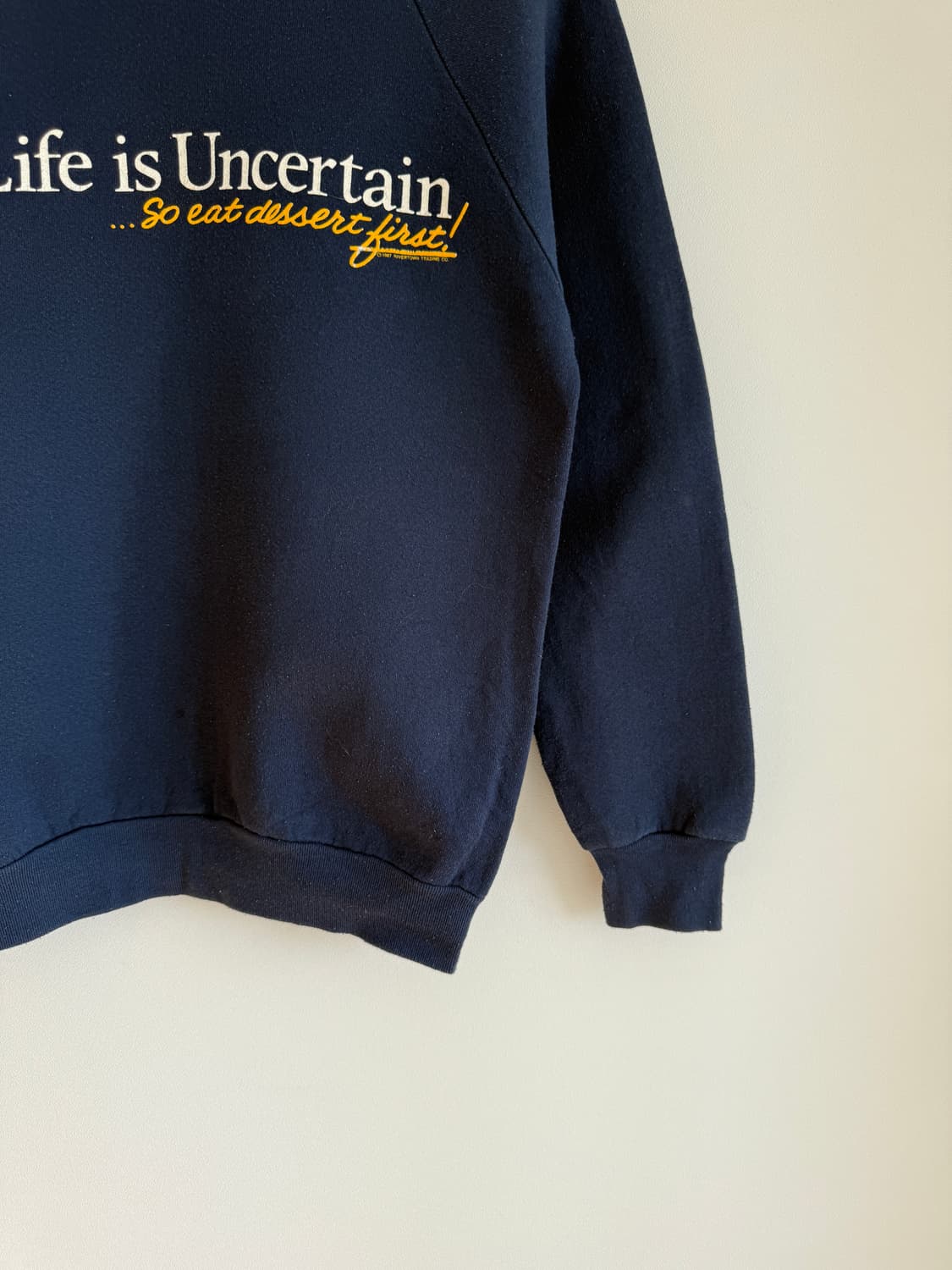 프루츠오브더룸(FRUIT OF THE LOOM) 스웻 셔츠(U.S.A) 상품이미지3