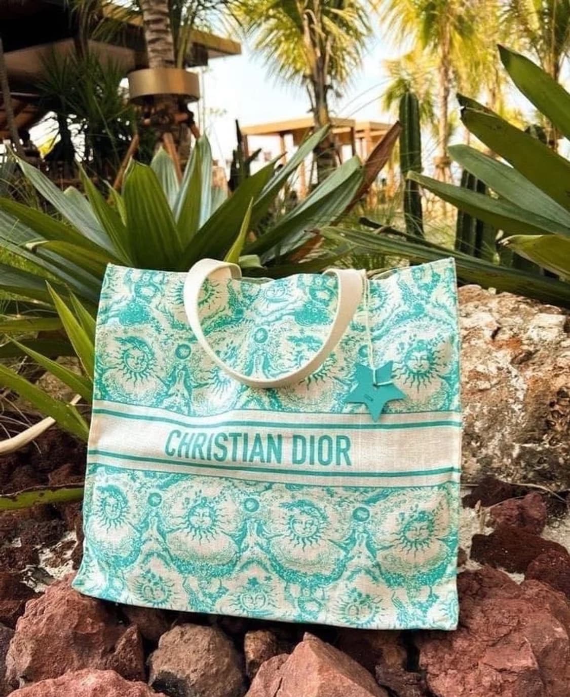 디올 리비에라 에코백 민트 별참 증정 상품이미지10