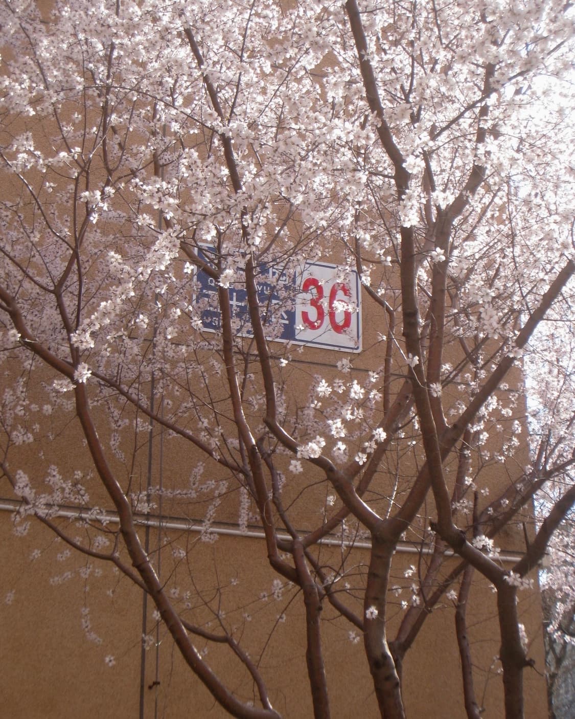 Canon ixus 860 is 상품이미지3