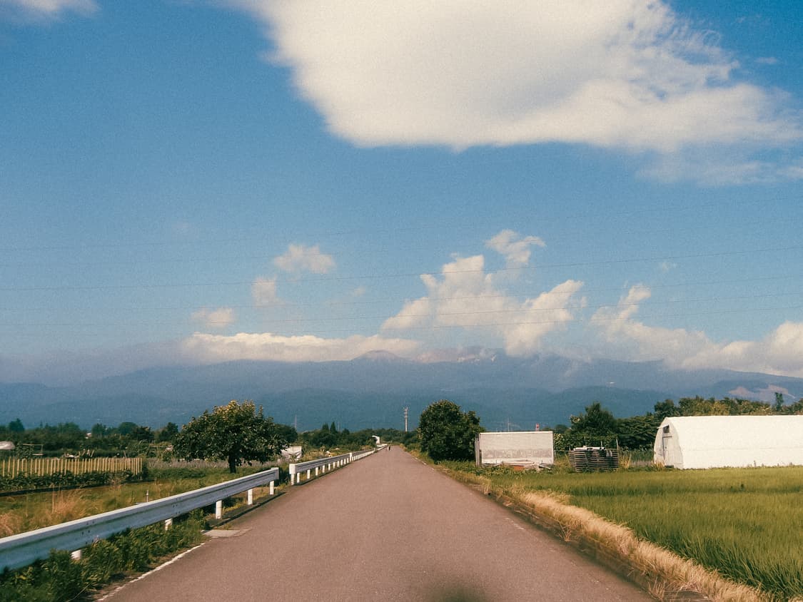 파나소닉 루믹스 FX8 핑크 💗화사한 감성 빈티지 디카 상품이미지5