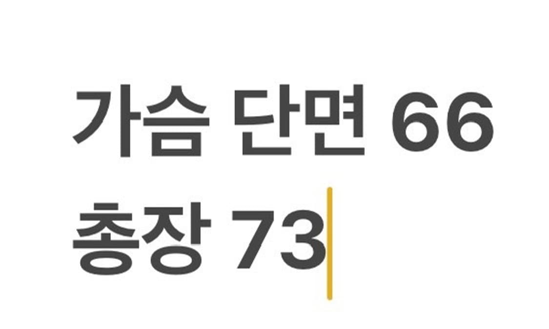 [정품/XXL] 에피그램 워싱 데님 블루종 점퍼 b14 상품이미지8