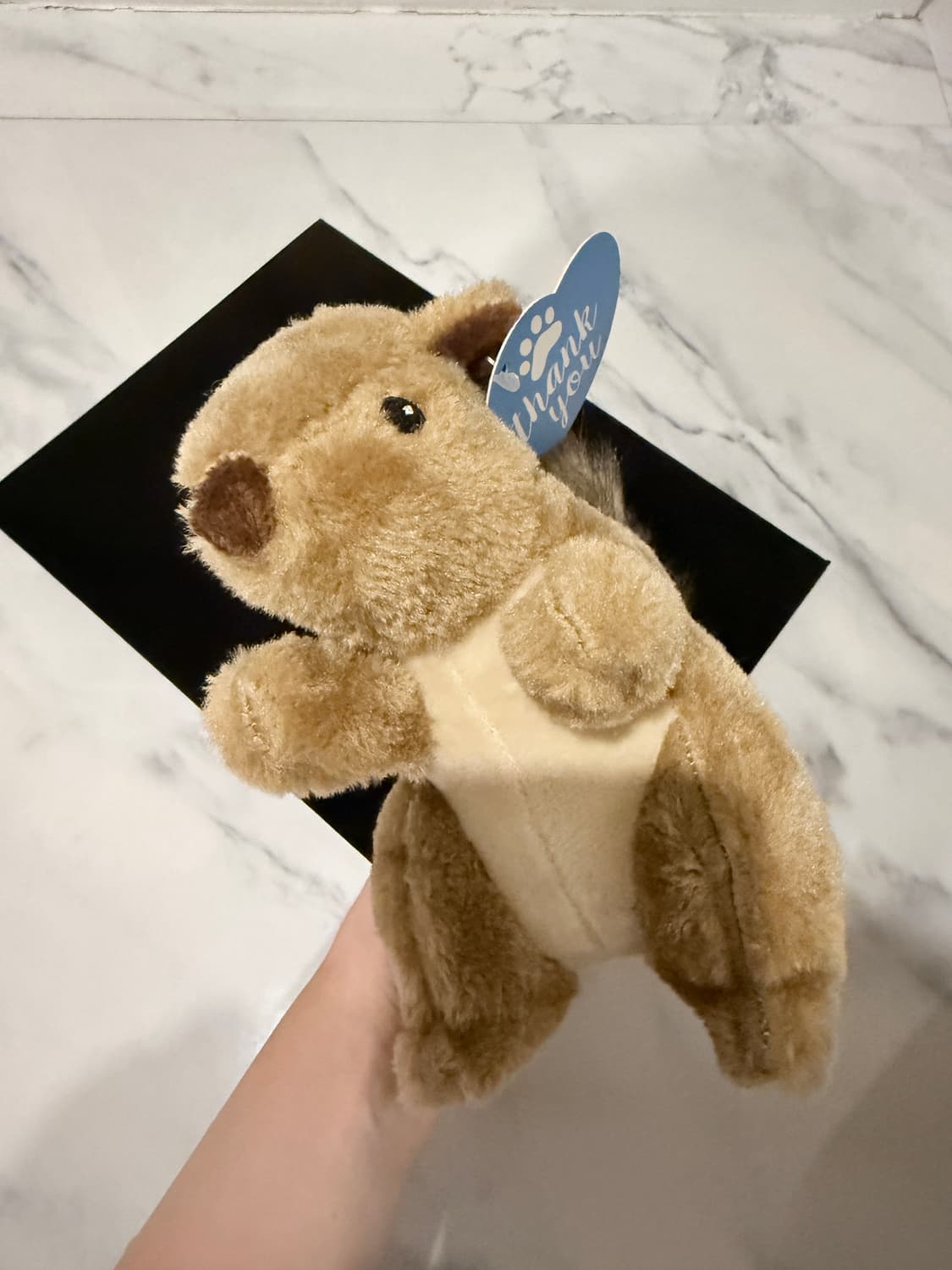 디스커버리 다람쥐 반려견/묘 장난감 인형(삑삑소리남) 상품이미지2