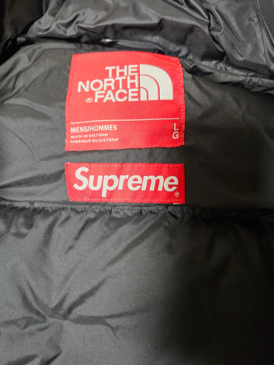 슈프림 노스페이스 페이퍼 눕시 L 상품이미지8