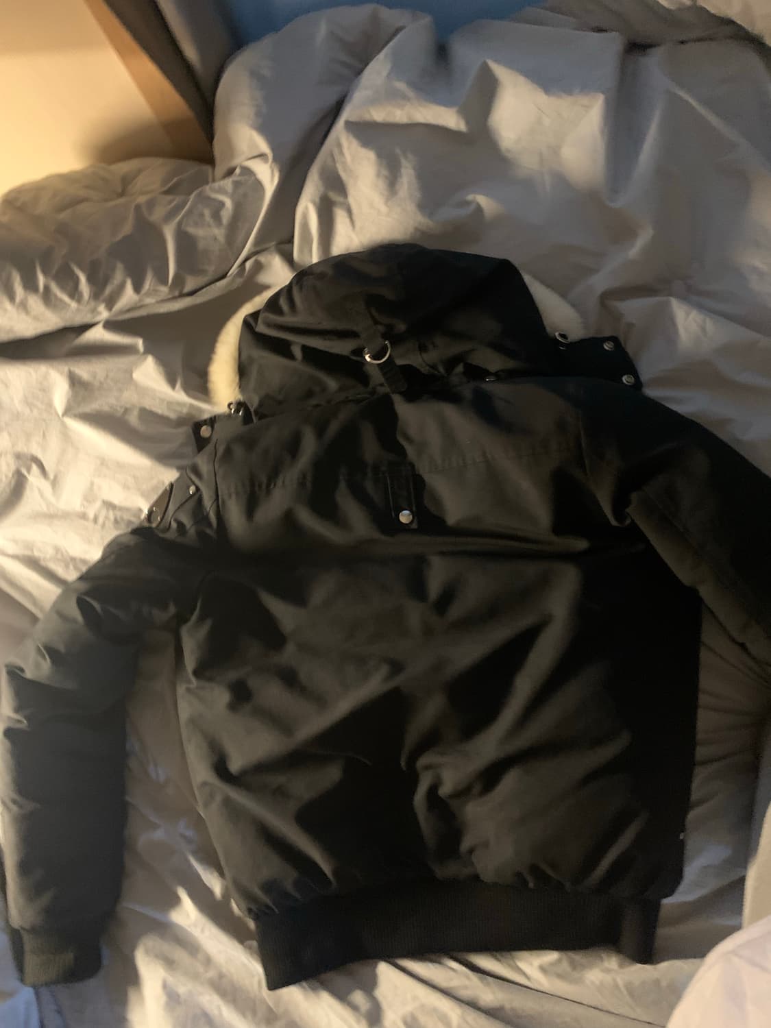 무스너클 발리스틱 상품이미지4